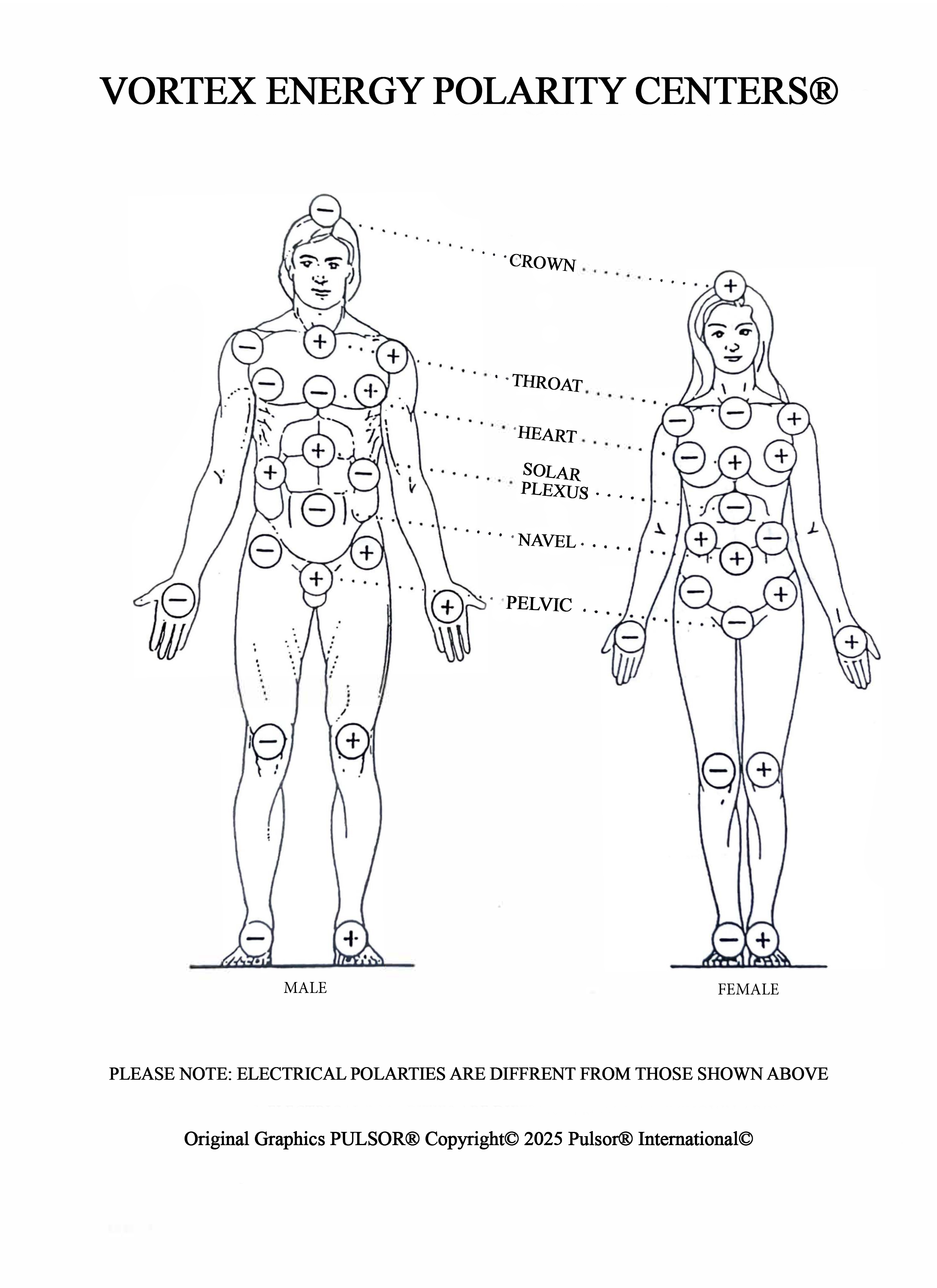 Vortex Energy Polarity Centers